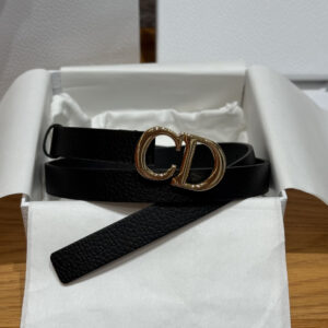 Dior Saddle Belt