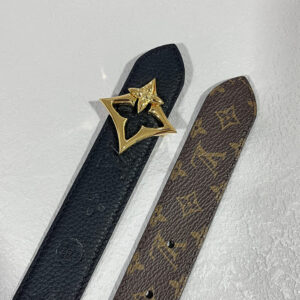LV Reversible Belt